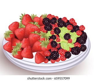 Strawberry and blackberry fresh fruits on a white plate. Vector illustration