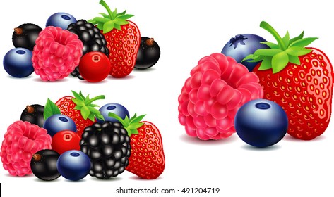 strawberry, blackberry, raspberry, blueberry in different group