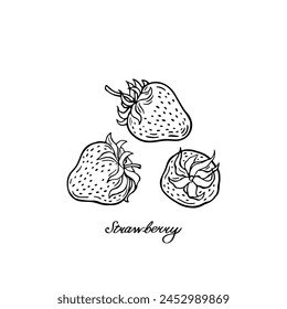 Strawberry. Blck and white berries. Hand-drawn flat image. Vector illustration on a white background.