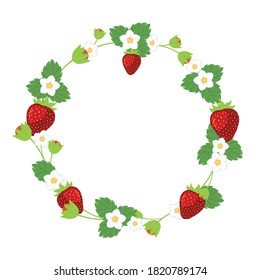 Strawberry ,blossom and leaf frame isolated on white background.
