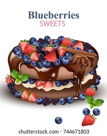 Strawberry and Blueberries chocolate cake Realistic Vector illustration on white backgrounds
