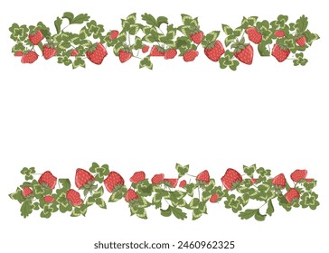 Borde de fresa - marco. Marco con fresas y trébol. Ilustración de verano. Diseño de impresión de Vector con un lugar de texto. Fondo blanco.