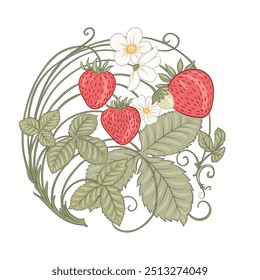 Strawberry. Branch with berries, leaves and flowers. Clip art, set of elements for design Vector illustration. In art nouveau style, vintage, old, retro style. In botanical style