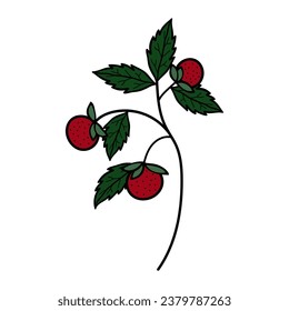 Strawberry branch with leaves. Botanical element on a white background with wild strawberries or strawberries. Garden design elements for invitation, greeting, textile, background, wall	