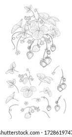 Strawberry branch with red berries. Clip art, set of elements for design Outline vector illustration. Isolated on white background.