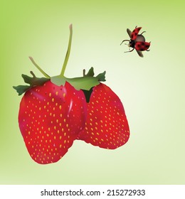 strawberry with bug vector eps10