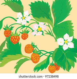 Strawberry bush