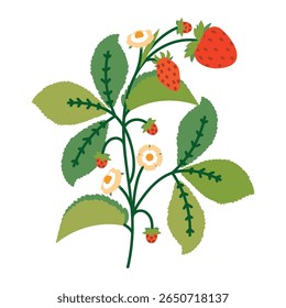 Strawberry Bush with Flowers, Leaves and Berries. Colorful plant with cute line sketches of branches isolated on white background. Nature herb perfect for invitations, cards, posters, holidays