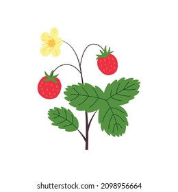 Strawberry Bush Hand Drawn Naive Art