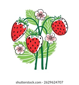 Strawberry bush on white background. Hand drawn summer berries with leaves and flowers
