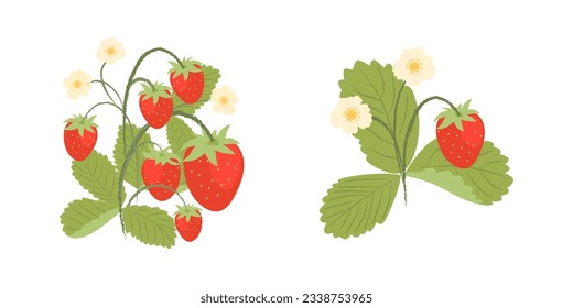 Erdbeerbüsche mit Beeren und Blumen.