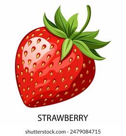 Strawberry in cartoon style on a white background. Vector illustration.