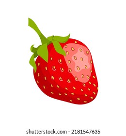 Erdbeerkartoonvektor. geschnittene rote Beere, süße Reife, gesunder Saft, Erdbeere, Vektorgrafik