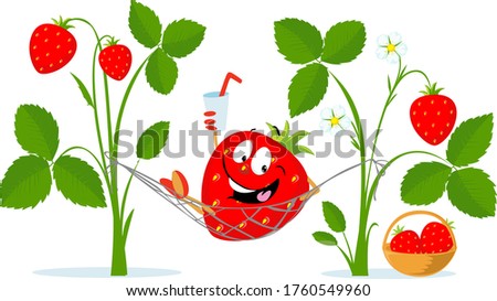 Strawberry Character Rest in Hammock, Drink Juice - Vector Cartoon Illustration Flat Design