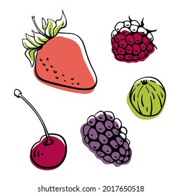 Strawberry, cherry, blackberry, gooseberry, raspberry. Colorful line sketch collection of fruits and berries isolated on white background. Doodle hand drawn fruits. Vector illustration