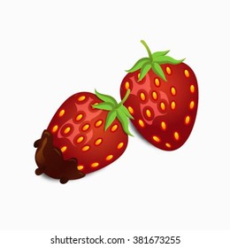 strawberry in chocolate

