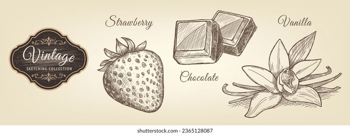 Strawberry, chocolate and vanilla sketches in vintage style. Vegetarian, organic food. Vector Illustration. 