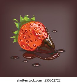 strawberry in chocolate vector image