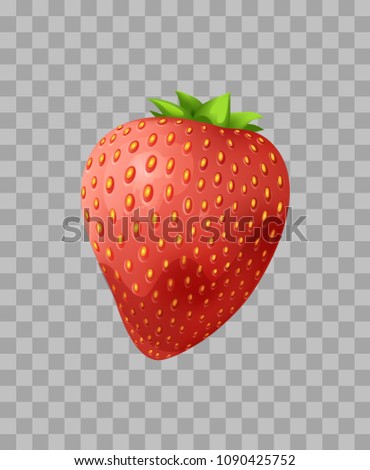 Strawberry closeup, fruit widely grown hybrid species of genus fragaria, fleshy part of berry with seeds leaf on top transparent vector illustration