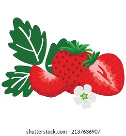 Icono vector de color fresa. Diseño plano.
