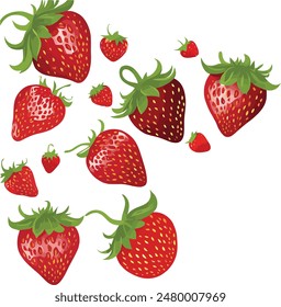 strawberry colorful Vector Illustration  eps 