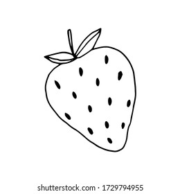Strawberry. Contour drawing of a strawberry berry by hand. Vector image isolated on a white background.