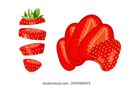 Strawberry cut into slice. Vector illustration isolated on white background