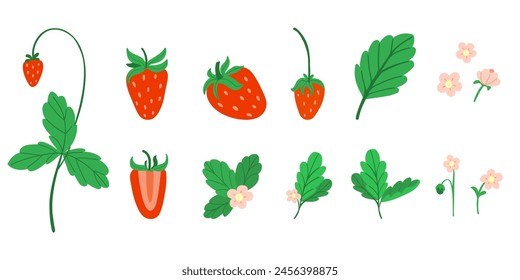 Fresas lindas. bosque fresco o bayas de jardín, hojas y flores. Entera y cortar bayas, estampados y decoración de embalaje. Juego de verano Doodle. Ilustración aislada de estilo plano de dibujos animados de Vector