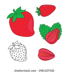 Strawberry. Delicious berries. Collection of different sizes, whole and sliced, colored and black and white. Diet. Natural juicy dessert. Template, print. Vector illustration.