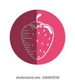 Strawberry delicious fruit