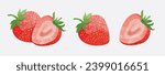 strawberry  Design elements. watercolour style vector illustration.
