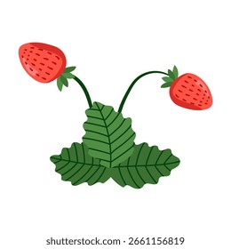 Elemento de ícone de design de morango. Morango vermelho com folhas sobre fundo branco. Suculenta baga de verão. Ilustração vetorial.