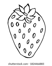 Strawberry doodle. Isolated berry on white background. Hand drawn.