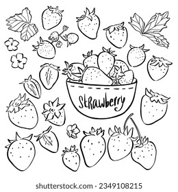 Strawberry doodle. Tasty berry fruit fresh black white sketch illustration. Hand drawn strawberries flower cut fruit in bowl. Summer fruit sweet on white background. 