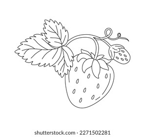 Strawberry doodle Vector illustration coloring book for kids