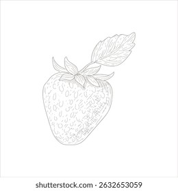 Um morango é desenhado em preto e branco. O desenho é simples e minimalista, com foco na própria fruta. A falta de cor e detalhe dá à imagem uma sensação limpa e moderna