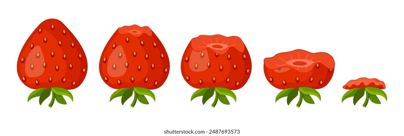 Strawberry eating steps icon set. Stages of biting red berry from Whole, bitten and entirely eaten. bite progression sequence animation of eaten. Hand drawn flat style isolated. Vector illustration