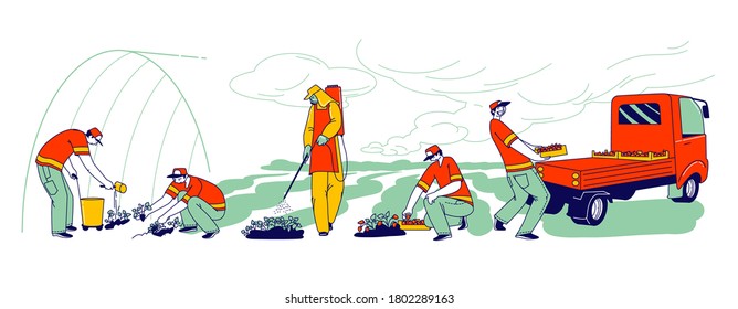 Strawberry Farm Workers Care, Picking And Loading Fresh Berries For Distribution. Immigrants Or Volunteers Characters Fertilizing And Growing Strawberry On Field. Linear People Vector Illustration