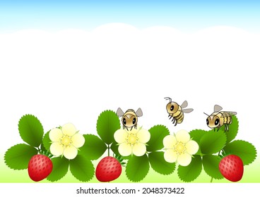 Strawberry field where bees fly under the blue sky, white flowers bloom, and red strawberries grow