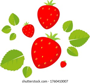 Strawberry Flat Design Vector Illustration Isolated on White Background