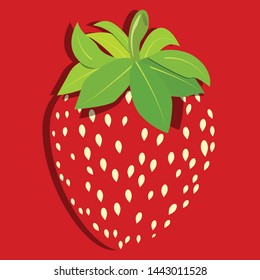 Strawberry Flat Illustration Design Art 