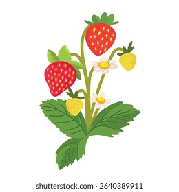 Strawberry. Flat vector clipart, illustration with isolated background.