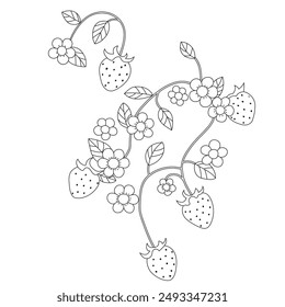 Strawberry and flower illustration. Line drawing. Vector format.