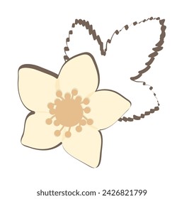 Strawberry flower on a white background. Vector illustration