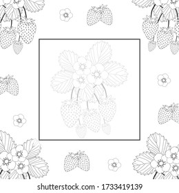 Strawberry and Flower Outline Banner on White Background. Vector Illustration.