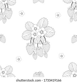 Strawberry and Flower Outline on White Background. Vector Illustration.