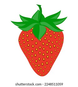 strawberry food flat icon vector illustration isolated on white background