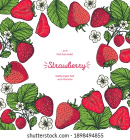 Strawberry frame, hand drawn vector illustration. Strawberries design template . Strawberry hand drawing	