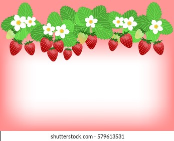 Strawberry frame illustration