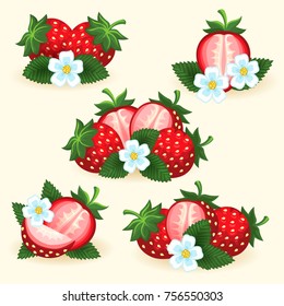 Strawberry freshness fruit set with fresh slice, leaves and flowers for logo and labels vector illustration